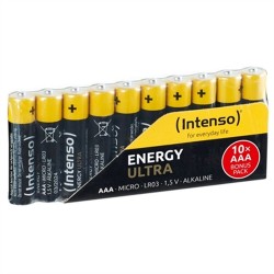 Batteries INTENSO 7501910