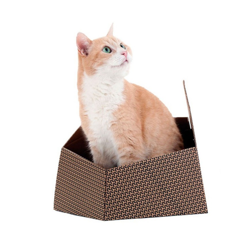 Jouet pour chats United Pets Kitty Marron Caisse (30 x 30 x 32 cm)