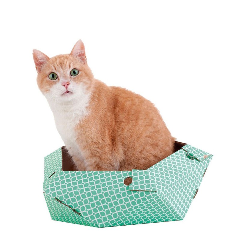 Jouet pour chats United Pets Oliver Vert Caisse (45 x 45 x 25 cm)