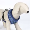 Harnais pour Chien Stitch S/M Bleu foncé