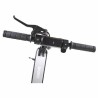 Trottinette Électrique Surpass  Pro 2 Black Edition 350 W