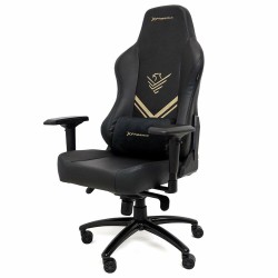 Chaise de jeu Phoenix SYNERGY