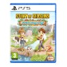 Jeu vidéo PlayStation 5 Just For Games Story of Seasons: A Wonderful Life