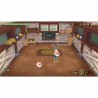 Jeu vidéo PlayStation 5 Just For Games Story of Seasons: A Wonderful Life