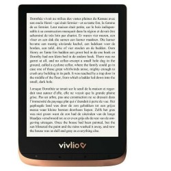 eBook Vivlio VTHDBRONZE Noir