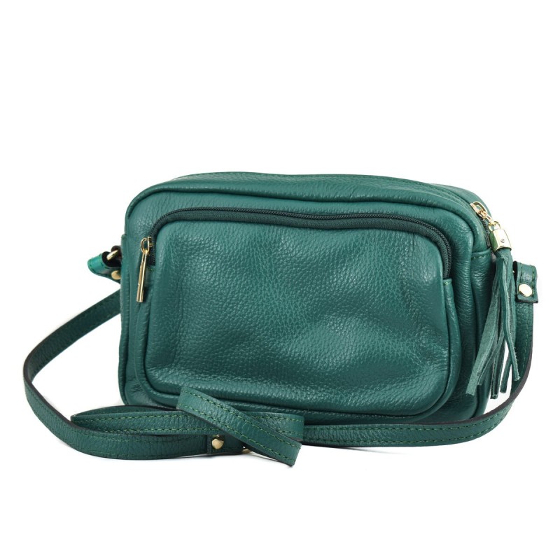 Sac-à-main Femme Carla Ferreri AW21-CF-1746-VERDE Vert (21 x 14 x 6 cm)