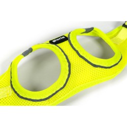 Harnais pour Chien Gloria Trek Star 29,4-32,6 cm 41,4-43 cm Jaune S