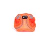 Harnais pour Chien Gloria Trek Star 29,4-32,6 cm 41,4-43 cm Orange S