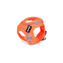 Harnais pour Chien Gloria Trek Star 24-26 cm 28-28,6 cm Orange XXS