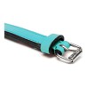 Collier pour Chien Gloria Rembourré Turquoise (30 x 1,5 cm)