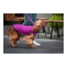 Manteau pour Chien Red Dingo Puffer 45 cm Rose/Violet