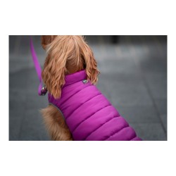 Manteau pour Chien Red Dingo Puffer 45 cm Rose/Violet