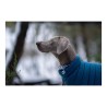 Manteau pour Chien Red Dingo Puffer Turquoise 40 cm