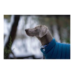 Manteau pour Chien Red Dingo Puffer Turquoise 35 cm