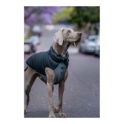 Manteau pour Chien Red Dingo Puffer Noir/Gris 55 cm