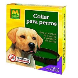 Collier pour Chien Massó...