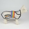 Imperméable pour Chien Disney Pride Transparent Noir S