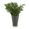 Pot ‎S3602946 Vert Plastique (13 x 25 x 13 cm)