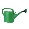 Arrosoir Plastique Vert (10 L)