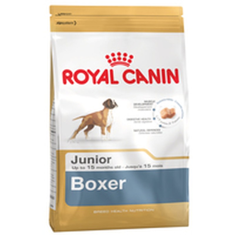 Nourriture Royal Canin Boxer Junior 12 kg