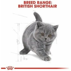 Aliments pour chat Royal Canin