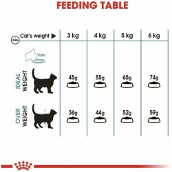 Aliments pour chat Royal Canin