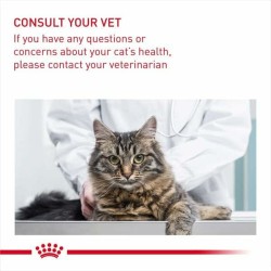 Aliments pour chat Royal Canin