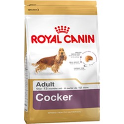 Nourriture Royal Canin...