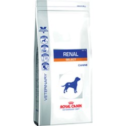 Nourriture Royal Canin...