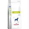 Nourriture Royal Canin Diabetic 12 kg