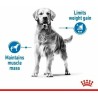 Nourriture Royal Canin 12 kg