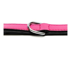 Collier pour Chien Gloria Rembourré Fuchsia (50 x 2,5 cm)