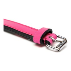 Collier pour Chien Gloria Rembourré Fuchsia (50 x 2,5 cm)