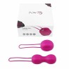 IntiMate Kegel Set Rouge Violet Nomi Tang E24184