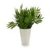 Pot ‎S3602947 Vert Plastique (13 x 25 x 13 cm)