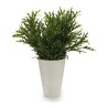 Pot ‎S3602947 Vert Plastique (13 x 25 x 13 cm)