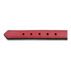 Collier pour Chien Gloria Rembourré Rouge 55 cm (55 x 2,5 cm)