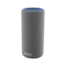 Haut-parleurs bluetooth portables CoolBox COO-BTA-G232 Gris