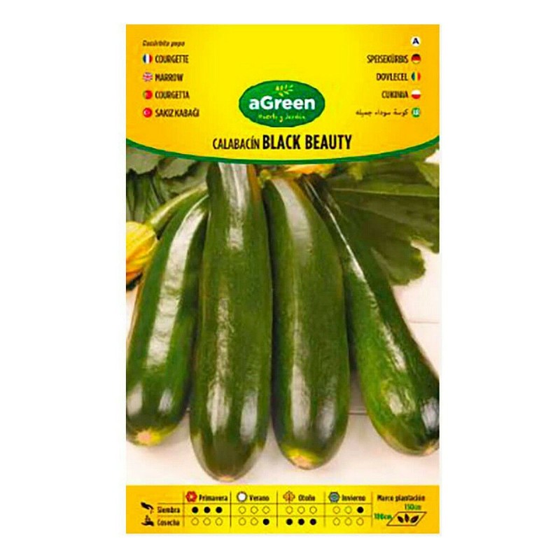 Graines aGreen Écologique Courgette