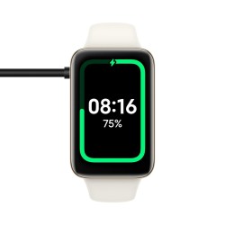 Montre intelligente Xiaomi Smart Band 7 Pro Noir