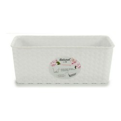 Jardinière Stefanplast 13 x 11 x 28,5 cm Blanc Plastique