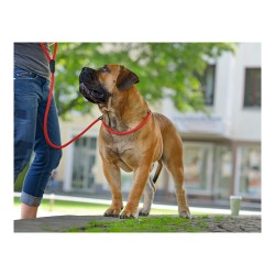 Laisse pour Chien Hunter RETRIEVER FREESTYLE Rouge