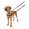 Harnais pour Chien Company of Animals Halti Noir/Rouge Taille S (36-64 cm)