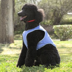 Gilet Rafraîchissant pour Animaux de Compagnie de Taille Moyenne InnovaGoods - M