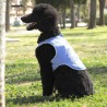 Gilet Rafraîchissant pour Animaux de Compagnie de Taille Moyenne InnovaGoods - M