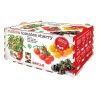 Set de culture Batlle Tomates naturelles 30 x 19,5 x 16,2 cm 2,85 kg