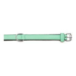 Collier pour Chien Gloria Rembourré Vert (55 x 2,5 cm)