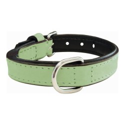 Collier pour Chien Gloria Rembourré Vert (40 x 2 cm)