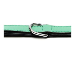 Collier pour Chien Gloria Rembourré Vert (40 x 2 cm)