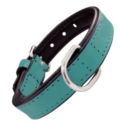 Collier pour Chien Gloria Rembourré Turquoise 45 cm (45 x 2 cm)